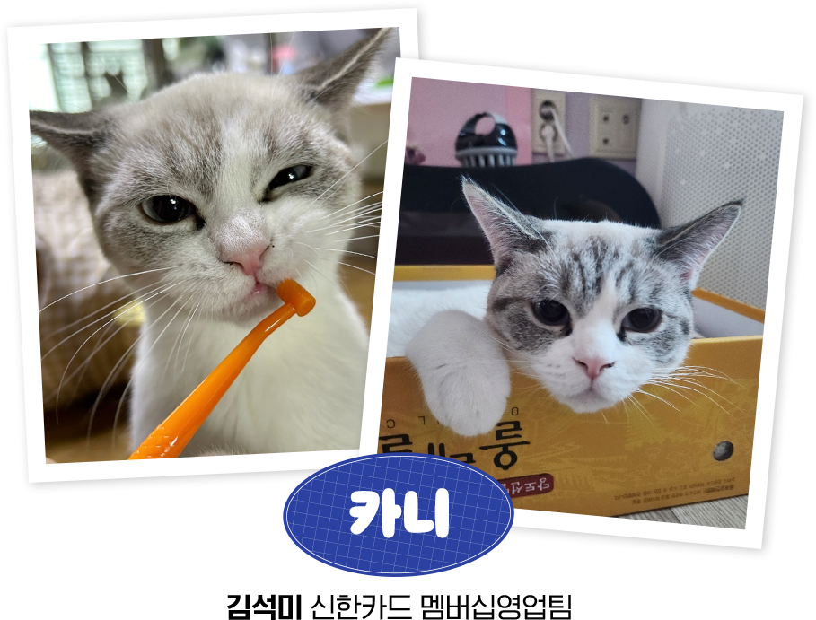 2411_event_slide_02