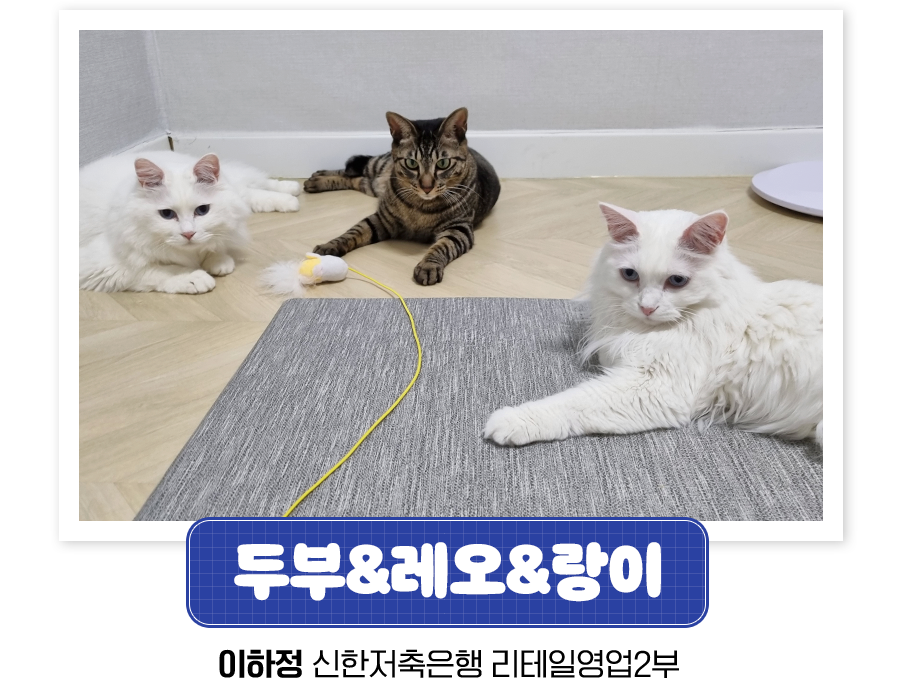 2411_event_slide_19